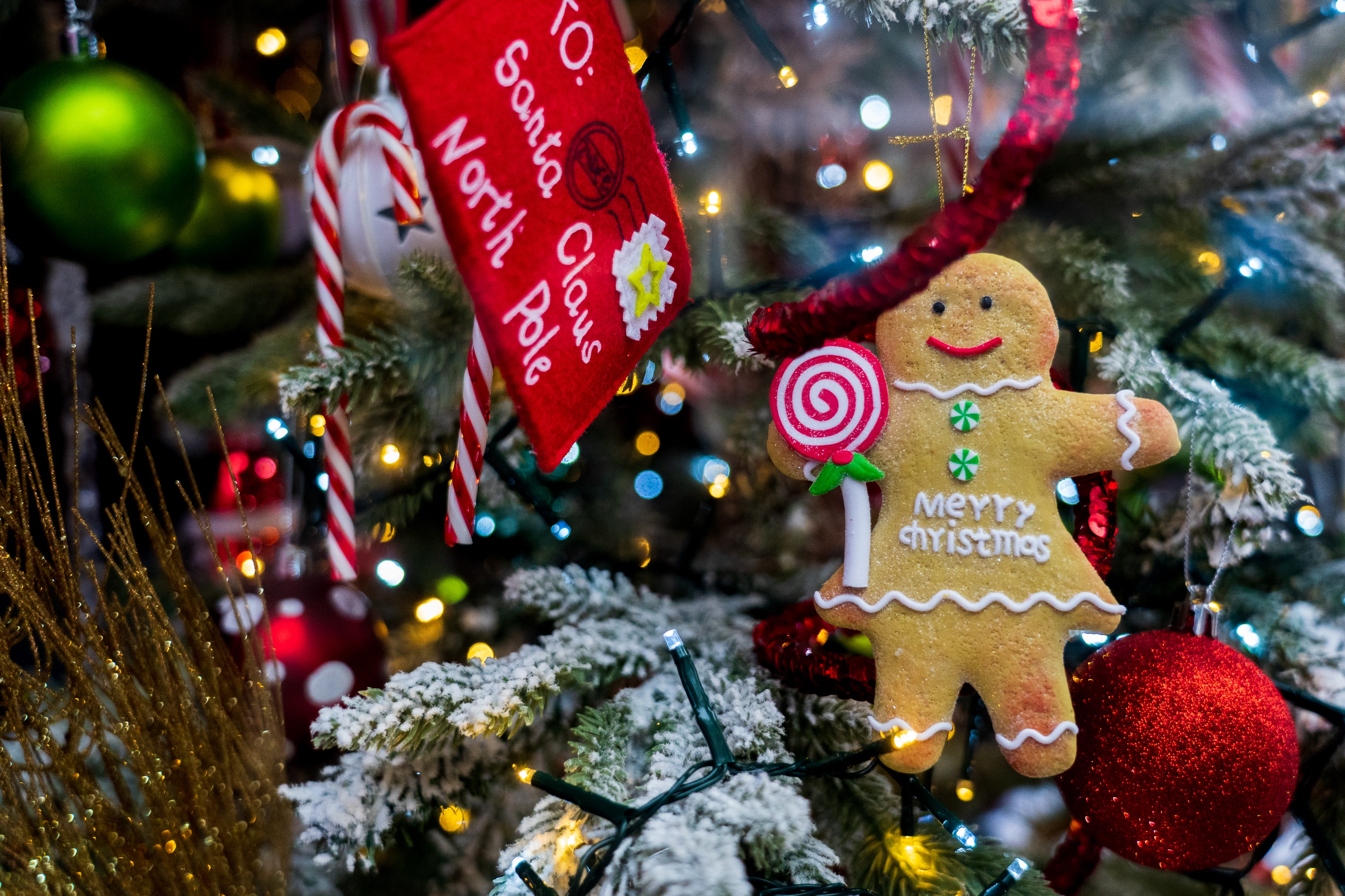 Décorations de Noël
